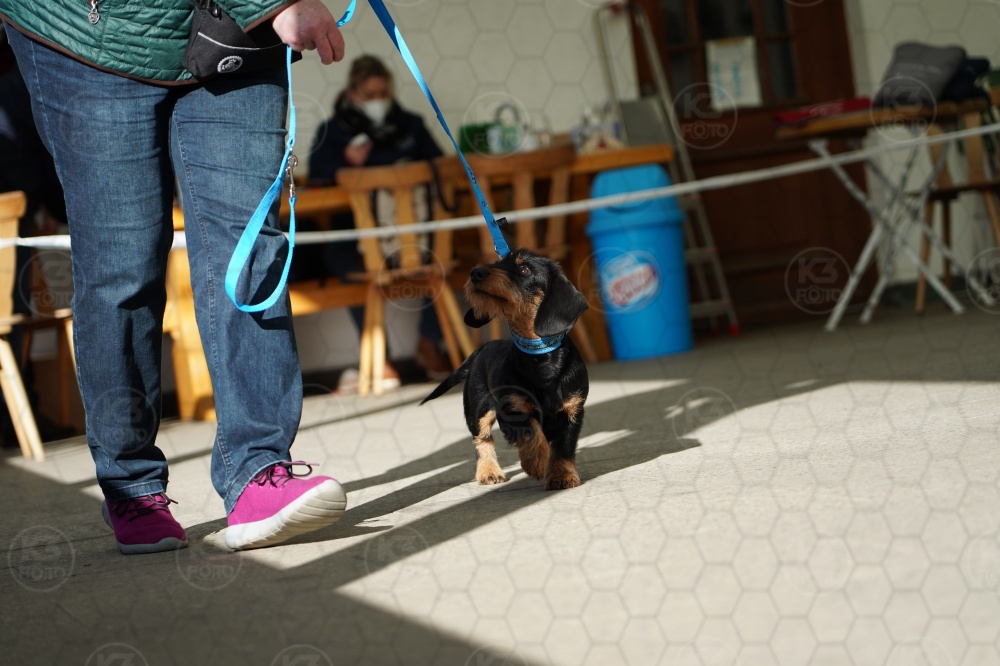 s_A9_09108.jpg